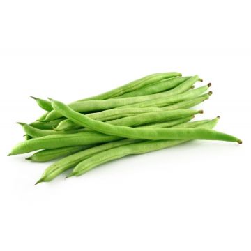 Semi di Spinaci Gigante d'Inverno 500 gr Hortus 9 3308866