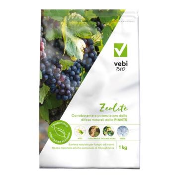 Concime per Kiwi in polvere 1 kg Flortis 9 4824731