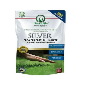Almaprato Dicondra semi di prato tappezzante 250 gr Herbatech 10 3297236