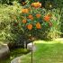 Rosa Louis De Funes® Meilland ad alberello in vaso 24 cm 32 2839273