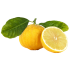 Bergamotto in vaso 18 cm 27 9436649