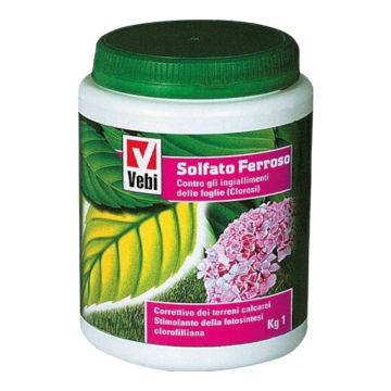 Concime univerale super 20-20-20 idrosolubile kg 25 Gecos 13 4821110