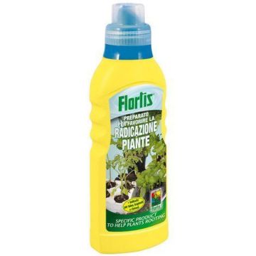 Ecovit Concime liquido per piante verdi Flortis 1 Kg 10 5467389