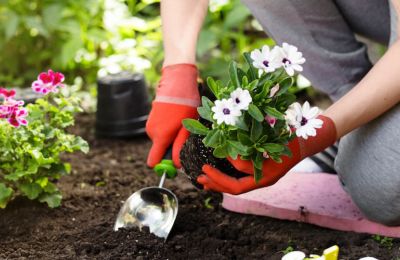 Il giardinaggio fa bene alla salute 18c29023