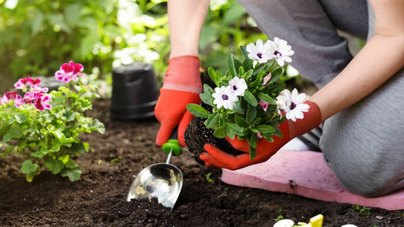 Il giardinaggio fa bene alla salute 8918ae55