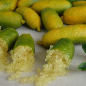 limone Caviale Giallo