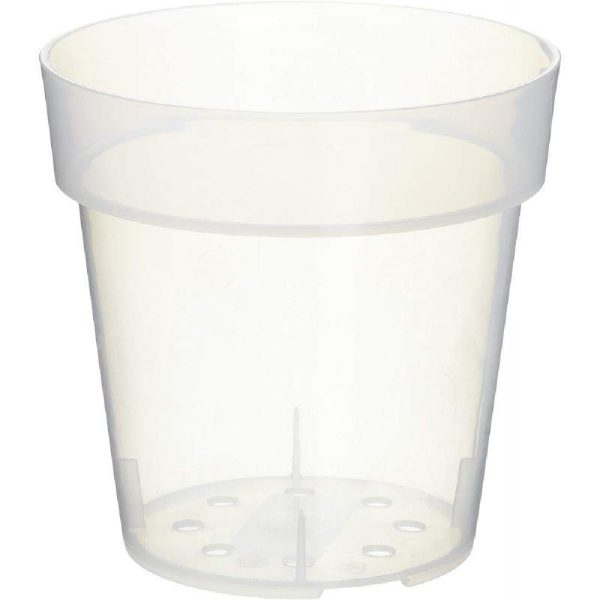Vaso Iris trasparente