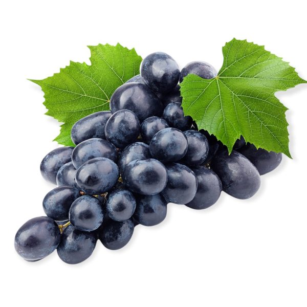 Vite Uva Moscato d'Amburgo nera