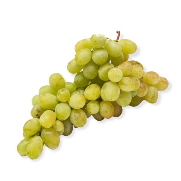 Uva Zibibbo bianca