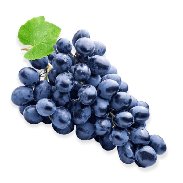 Vite Uva Fragola nera