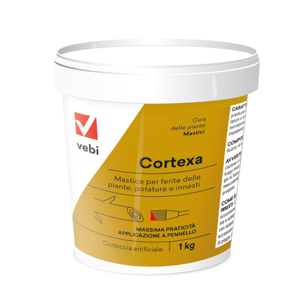 Cortexa mastice