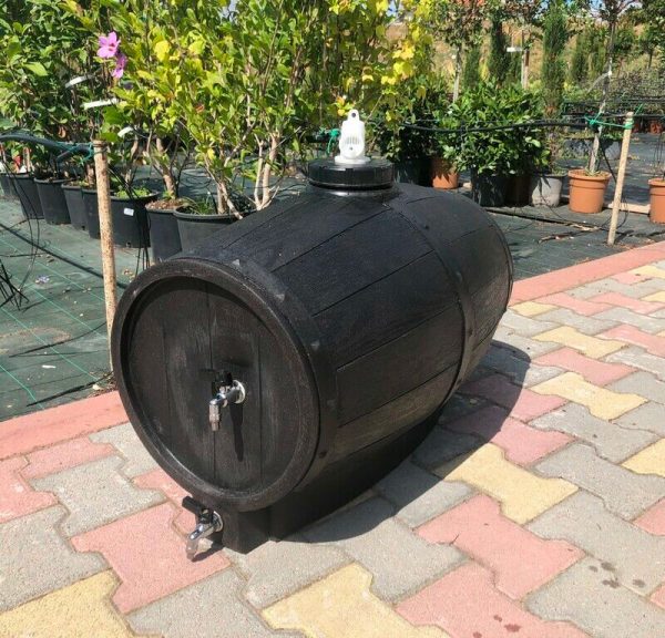 Barile botte enologica