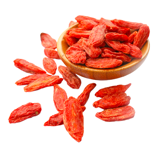 Goji rosso Lycium Barbarum in vaso 18 cm