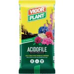 Terriccio per piante acidofile 20 lt Vigorplant