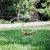 GARDENA irrigatore girevole a 6 testine boogie classic in blister (2073