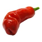 Peter Red Pepper