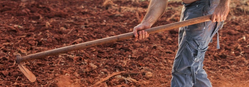 Preparazione del terreno