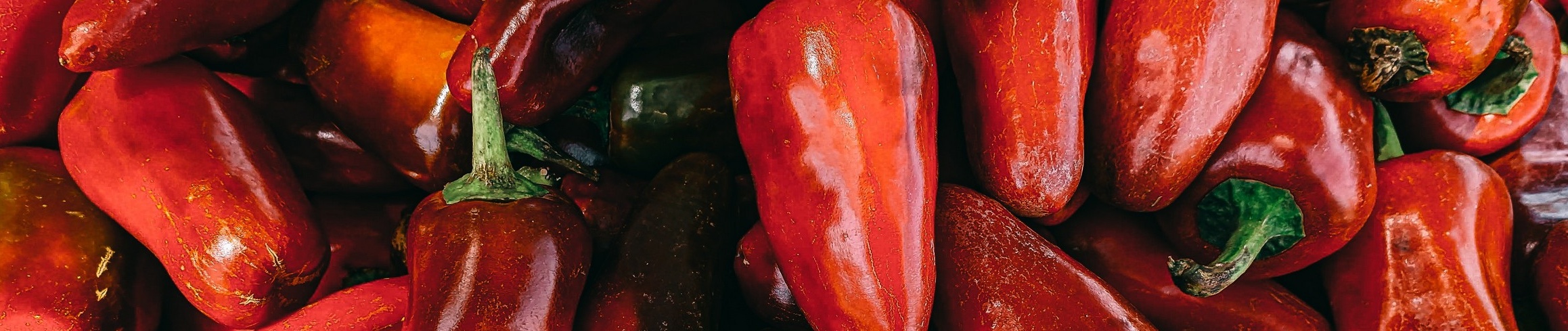 piante di peperoncino