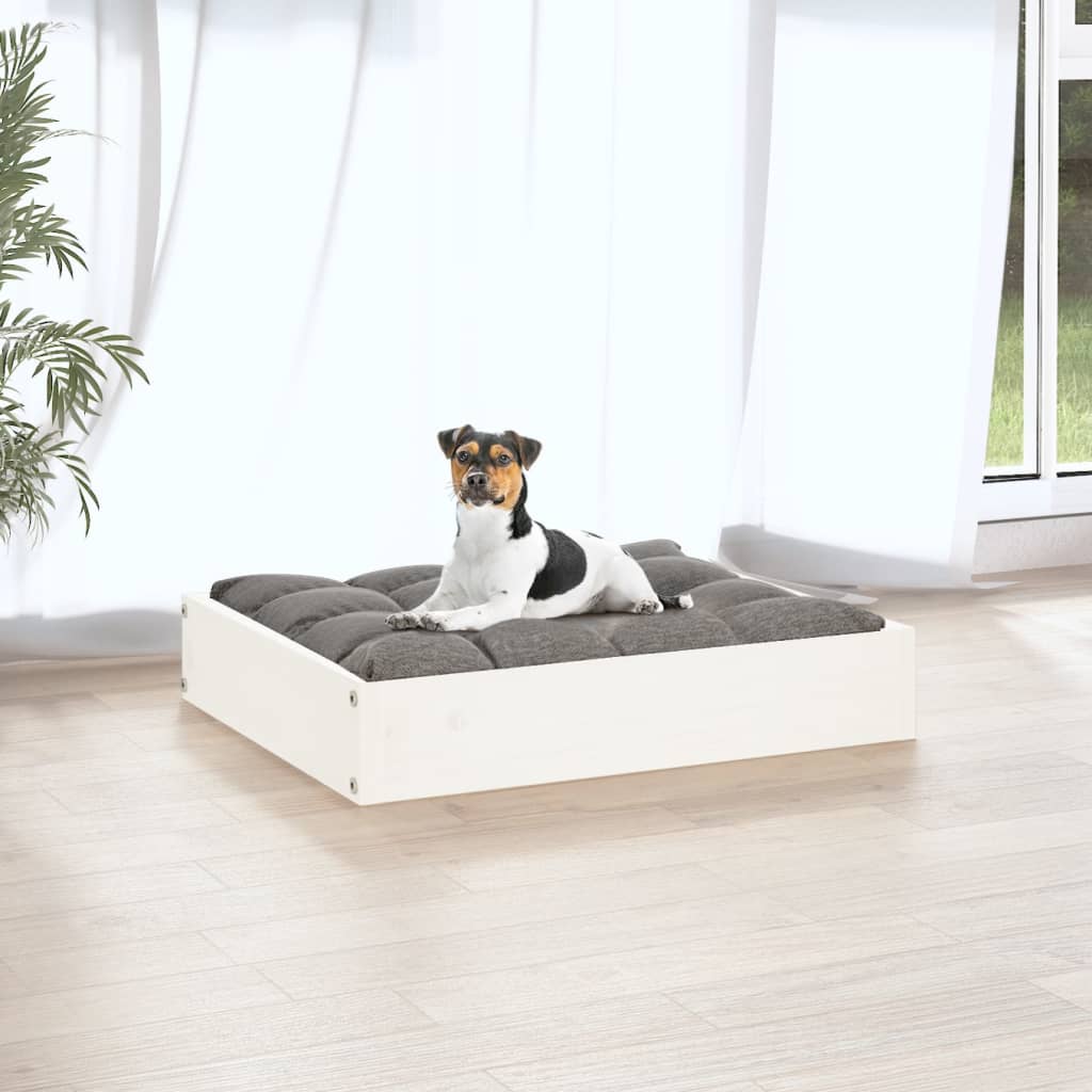 Mini sofa per cani, per uso esterno