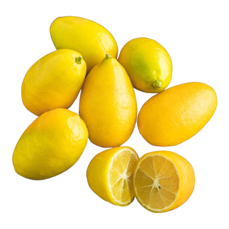 Citrus Limequat alberetto in vaso 18 cm 3 28658848