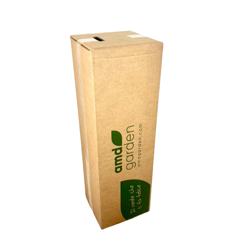 Albero della nebbia Cotinus Smokey in vaso 18 cm 2 30747792