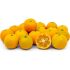 Calamondino Alberetto in vaso 18 cm 34 28652037 314aa15f