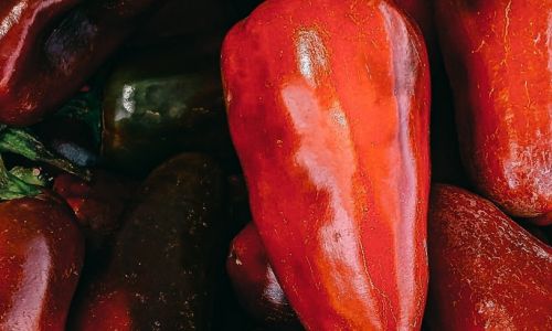 piante di peperoncino