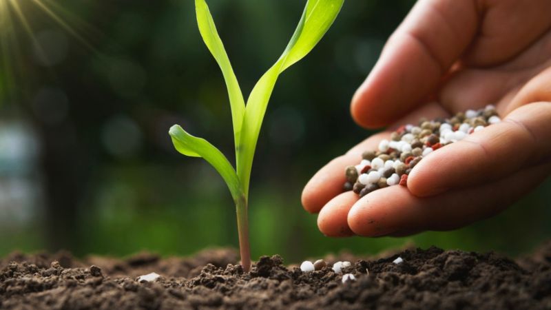 pouring chemical fertilizers 5f085854