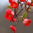 645df1e0