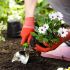 Il giardinaggio fa bene alla salute 6d024a9c