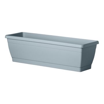 Pandorea Jasminoides Bignonia Variegata in vaso 18 cm 25 12643232