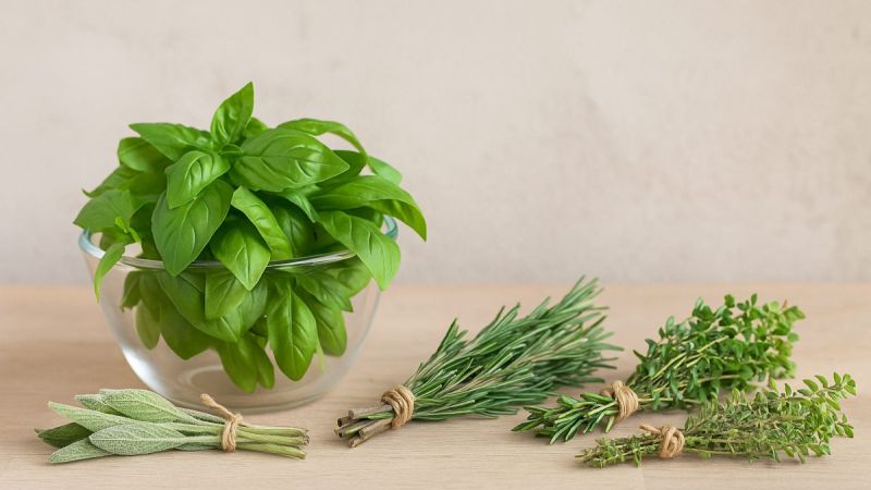 raccogliere e conservare le aromatiche di fine estate senza perdere profumo featured 1790082989 86024195