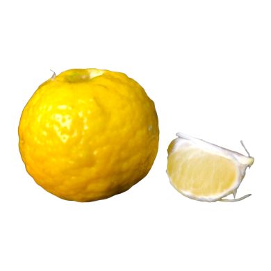 2678072 8e20e850