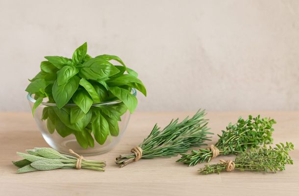 raccogliere e conservare le aromatiche di fine estate senza perdere profumo featured 1790082989 b90fa858