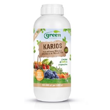 Bicarbonato di sodio Fungicida biologico per piante 200 gr Flortis 9 c7decce8