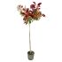 Photinia Red Robin ad alberello in vaso 24 cm 29 12897243 cdbade8c