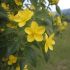 12722215 d9f7c464