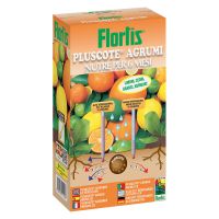 Coltivare le piante di agrumi: I 6 consigli per un giardino profumato 9 Pluscote concime per agrumi